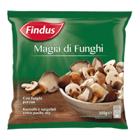 Findus Magia di Funghi