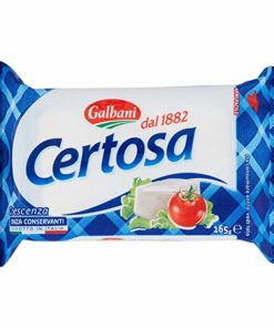 Galbani Certosa 100gr