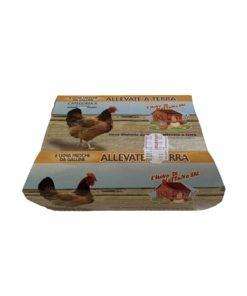 L'Uovo di Nettuno Allevate a Terra 6 uova